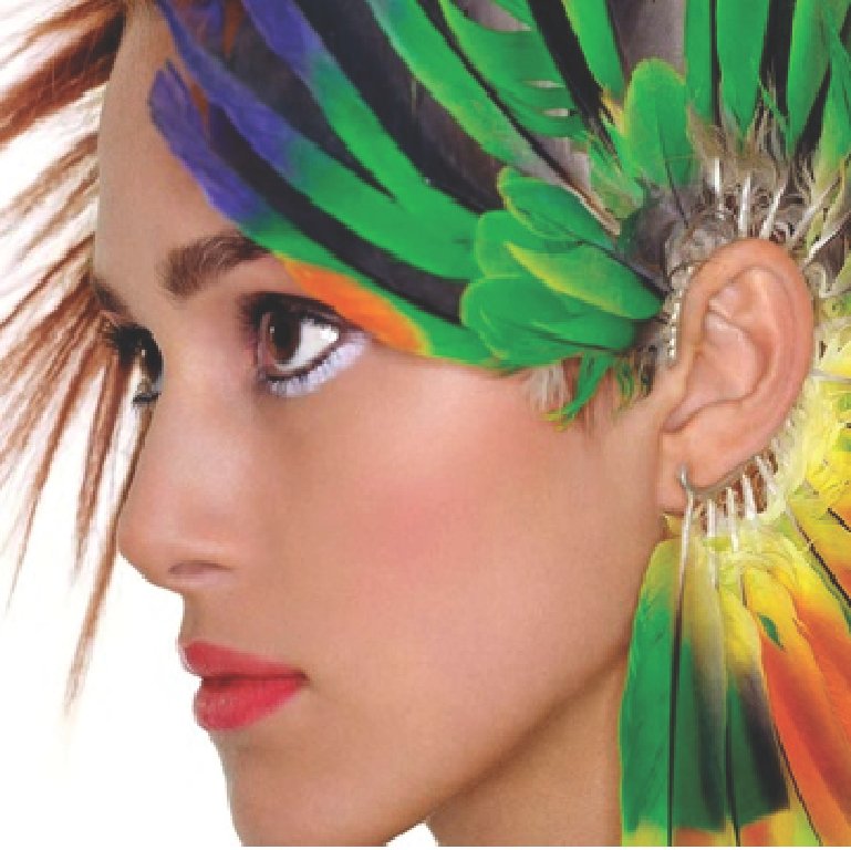 Colorful profile